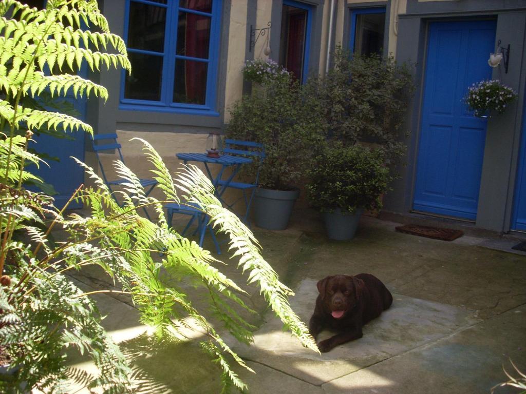 Reglisse Et Pain D'Epices - Chambres D'Hotes Honfleur Bagian luar foto